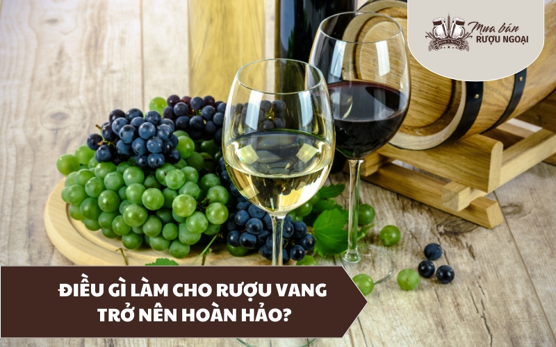 điều gì làm cho rượu