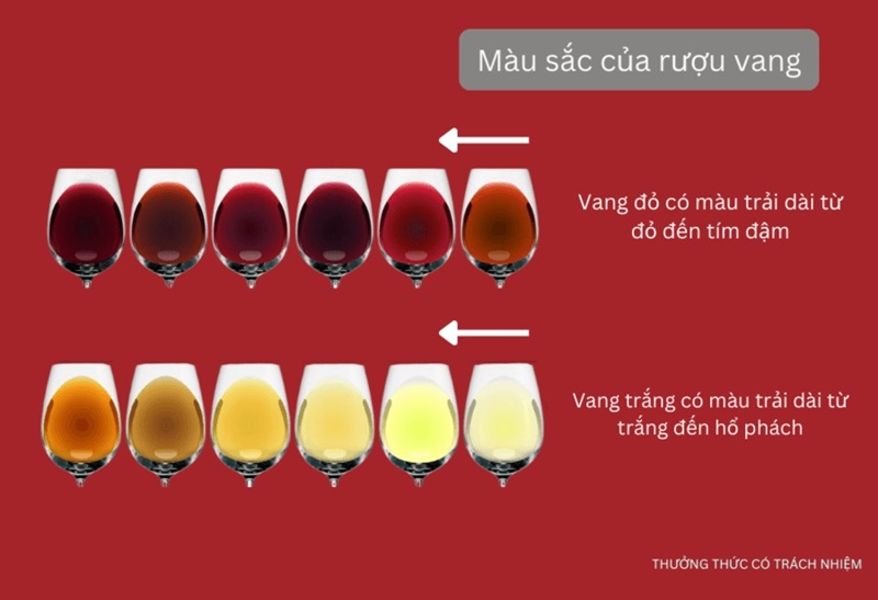 màu sắc rượu vang 