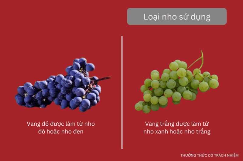 loại nho sử dụng