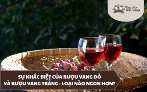 rượu vang đỏ và rượu vang trắng