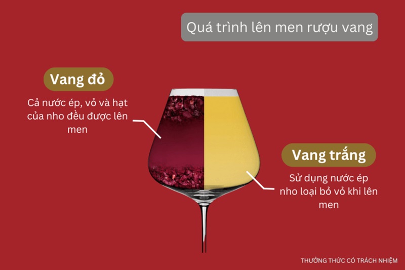 quá trình lên men rượu vang