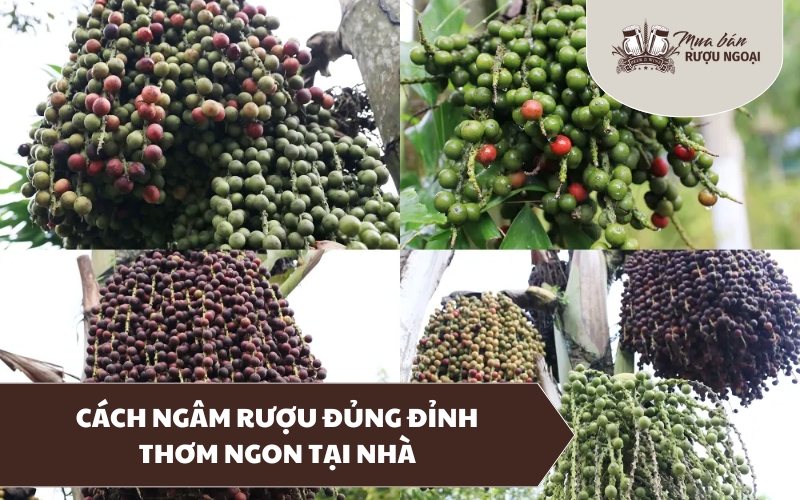 cách ngâm rượu đủng đỉnh