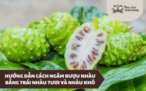 cách ngâm rượu nhàu