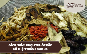 cách ngâm rượu thuốc bắc