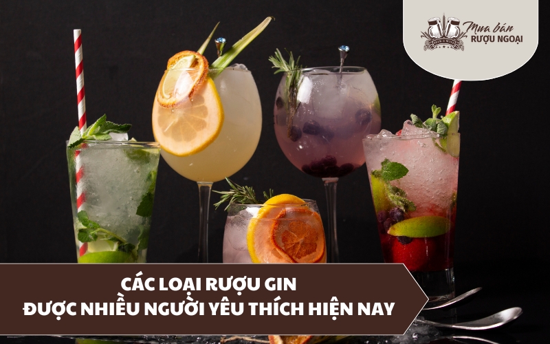 các loại rượu gin