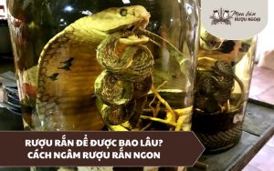 rượu rắn để được bao lâu