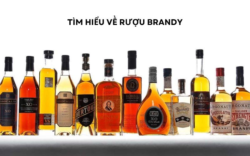 tìm hiểu về rượu brandy