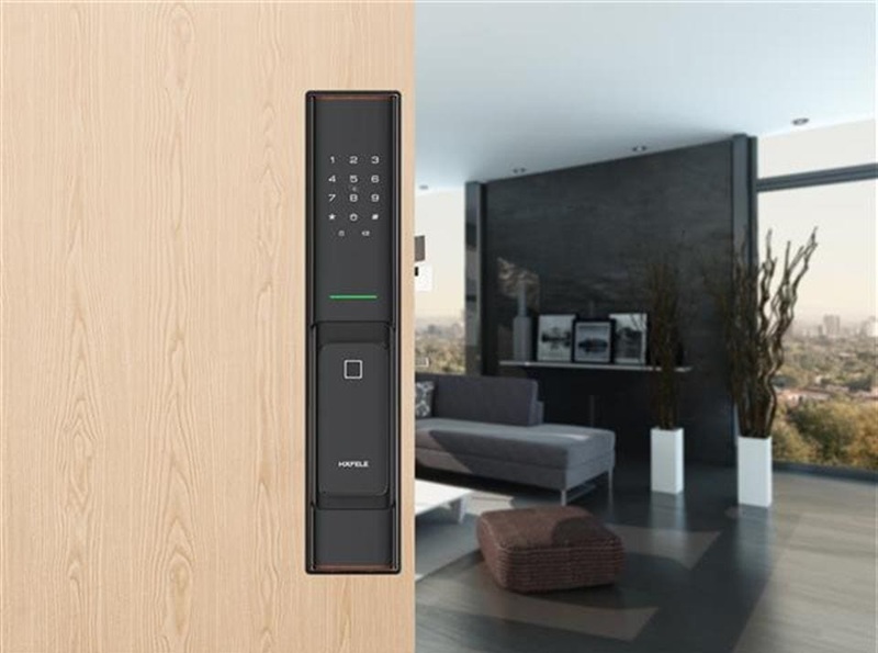 Khóa vân tay cao cấp Hafele PP8100