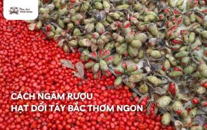 cách ngâm rượu hạt dổi