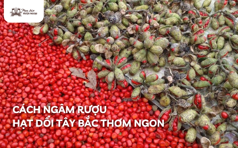 cách ngâm rượu hạt dổi