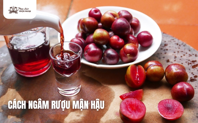 cách ngâm rượu mận hậu