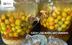 cách ngâm rượu mơ umeshu