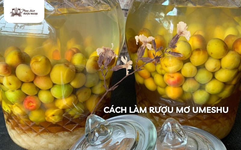 cách ngâm rượu mơ umeshu