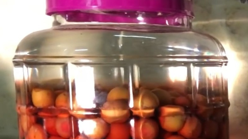 dùng hũ sành hay hũ thủy tinh