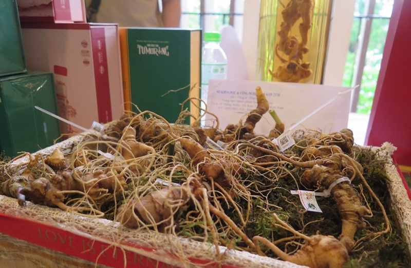 chuẩn bị nguyên liệu ngâm