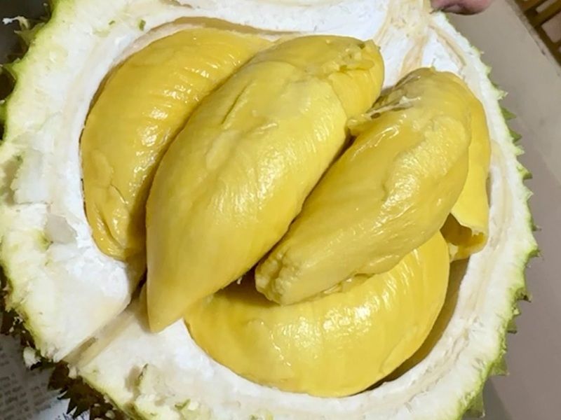 Dấu hiệu nhận biết rượu sầu riêng bị hỏng