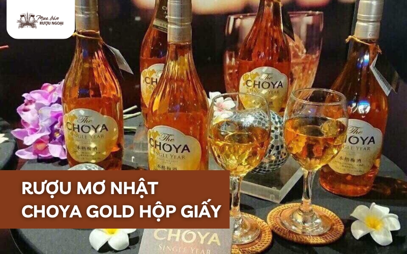 rượu mơ choya honey hộp giấy