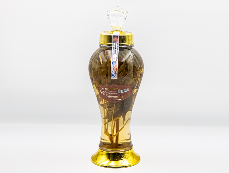 uông rượu sâm ngọc linh