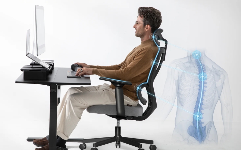 Tác dụng của ghế công thái học